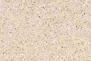 Линолеум Taralay Premium Compact Costa Rica 8387 BALSA фото  | FLOORDEALER